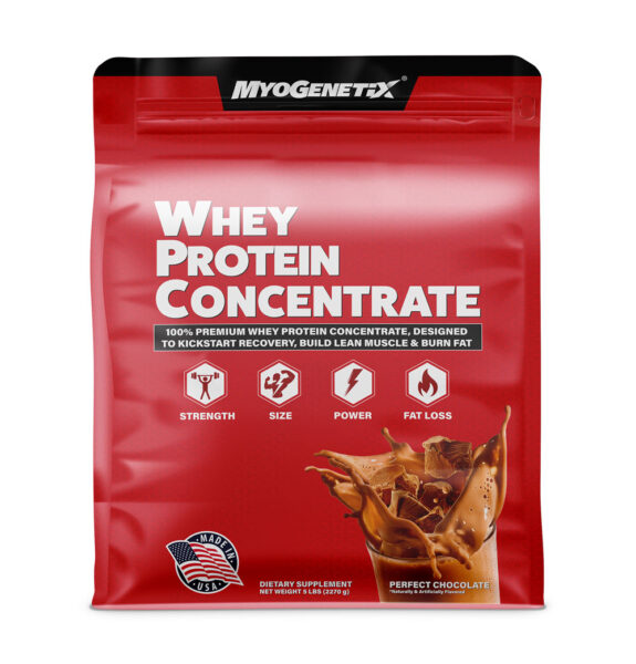 myogenetix whey protein concenrate